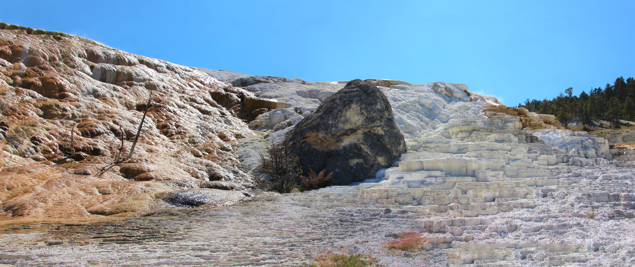 Geysers at Yellowstone National Park