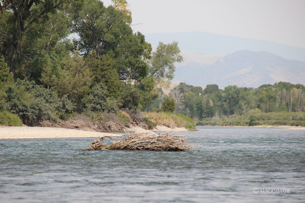 Floating down the River in Montana, USA, photo by Vange