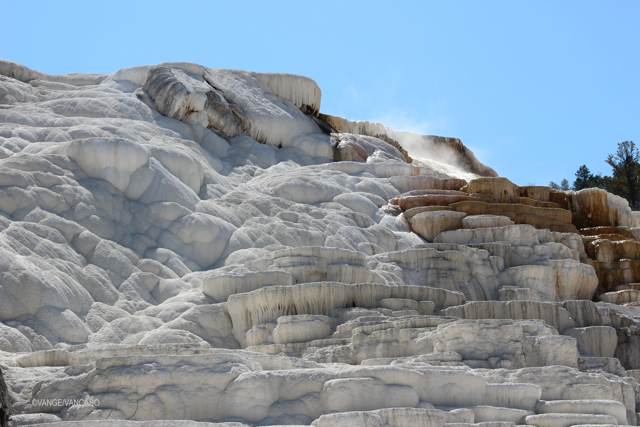 Geysers at Yellowstone National Park