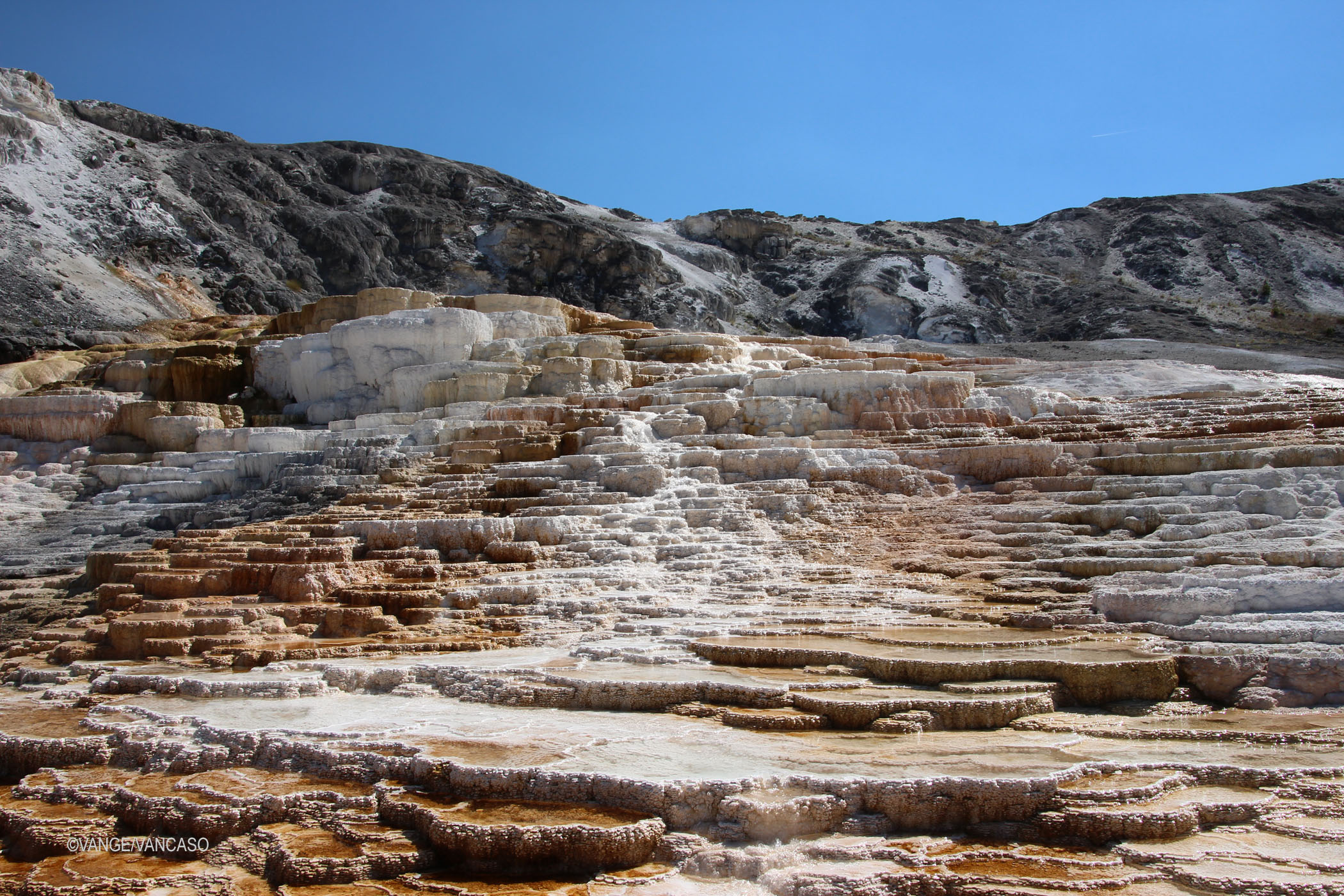Geysers at Yellowstone National Park