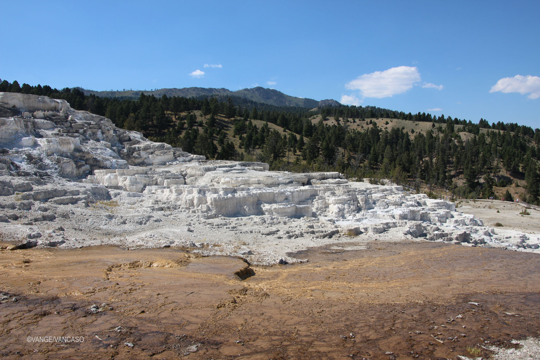 Geysers at Yellowstone National Park