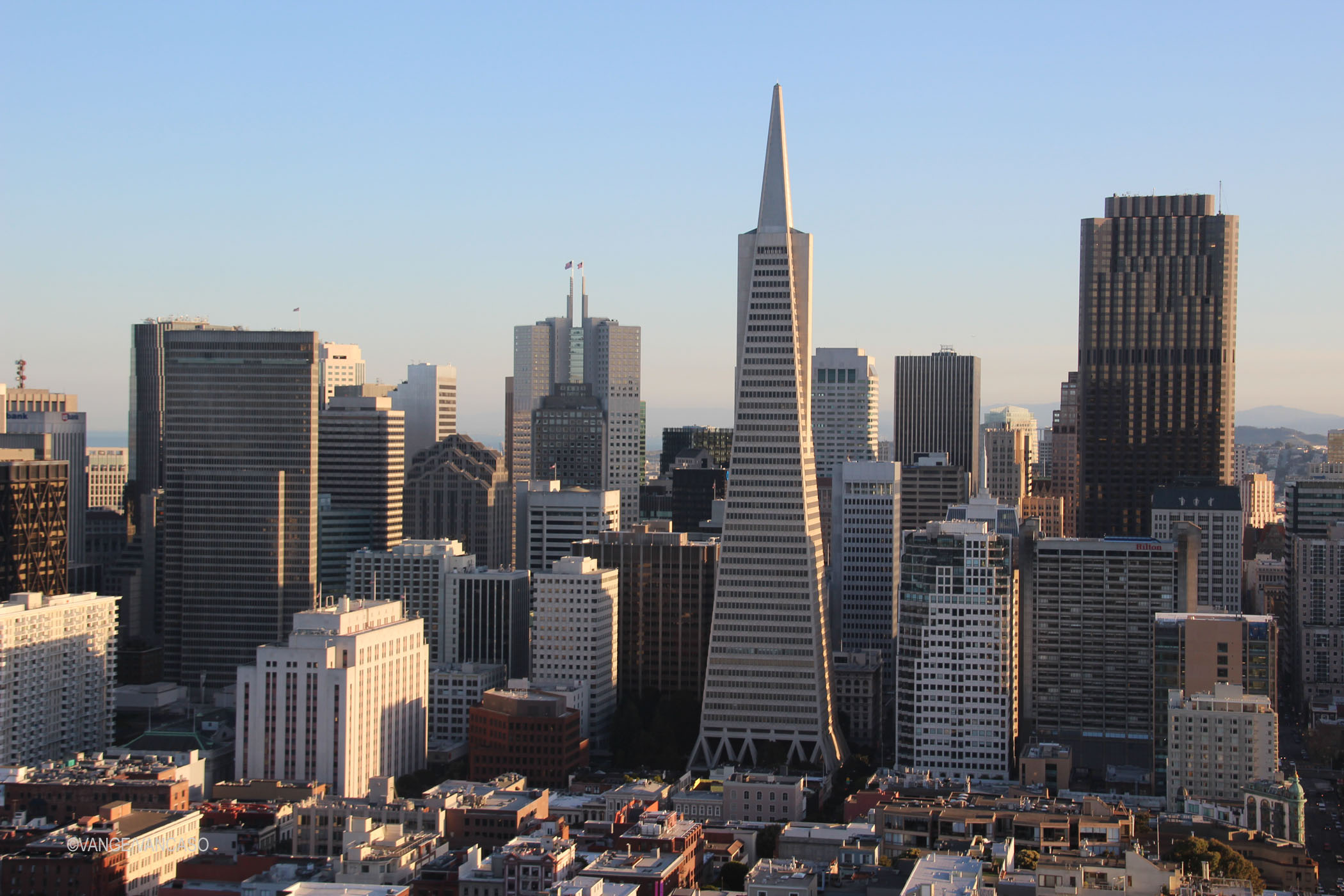 Downtown San Francisco from the Coit Tower